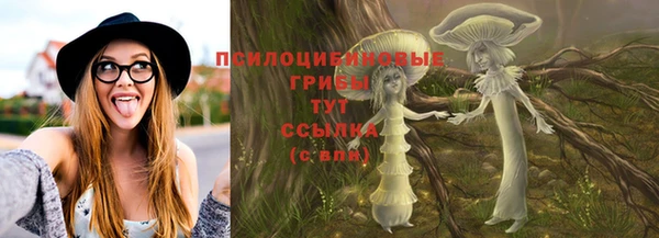 тгк Абдулино